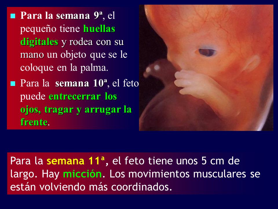 Los dolores en el cuello y la cabeza de la causa el tratamiento los preparados